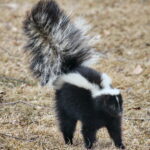 ネットビジネスで消費者(お客様)意識だと成功できない最大の理由