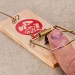 メルマガやステップメールで「投資意識の教育」なんて要らない