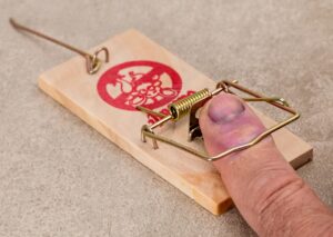 メルマガやステップメールで「投資意識の教育」なんて要らない